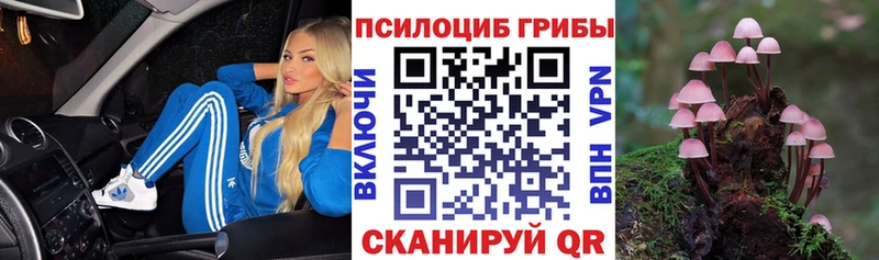 Галлюциногенные грибы GOLDEN TEACHER  mega ONION  Котельниково 
